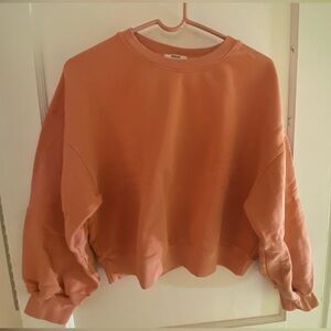 AGOLDE Balloon Sleeve Cropped Sweatshirt